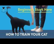 Cat School Clicker Training