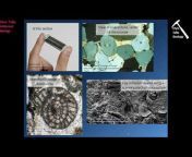 Historical Geology with Dr. Chris White