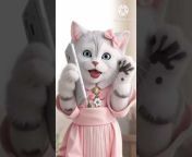 Funny@cat-videos