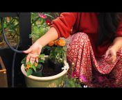Soil and Margaritas &#124; Home Gardener