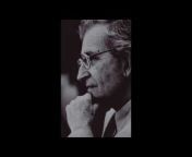 Chomsky&#39;s Philosophy