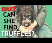 The Real Truffle Hunters