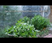 Growing Your Food In Your Own Backyard