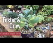 Foster And Grow