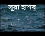 Bangla Translation