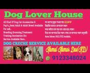 Dog Lover House