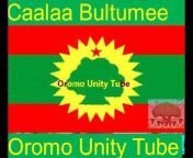 Oromo Unity Tube