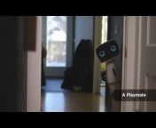 Aido Home Robot