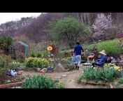 꽃피는 산골 Korean countryside life