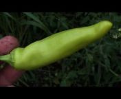 Best Garden Channel on Youtube