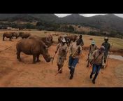 Care for Wild Rhino