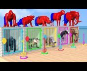 Funny 3d Animals Hub