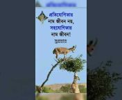 Life Dose Motivation Bangla