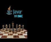 The java programmers