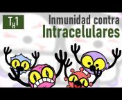 Inmunobichos