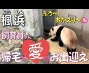 Cute Panda☆キュ〜っとパンダ(キューパン)