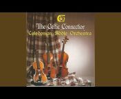 Caledonian Fiddle Orchestra - Topic