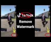 SAVETIk - TickTock Watermark Remover