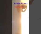 Incubator for sale