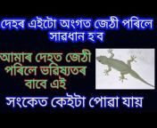Assamese Astrology