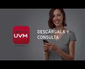UVM &#124; Universidad del Valle de México