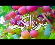 SMD Daily Quran TV