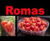 The Ripe Tomato Farms