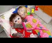 Animals Home Monkey