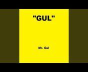 Mr. Gul - Topic