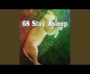 Sleep Sounds of Nature - Topic