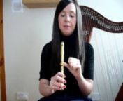 Beginner Tutorial on Tin Whistle - perfect for practicing the D Scale