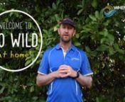 Welcome to the start of the Go Wild Challenges you can do at home! Aimed at 7-10yr olds during lockdown, these can all be done with minimal resources in your own backyard.