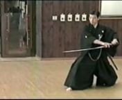 Iaidō is a Japanese martial art of the sword. In one same school (Ryū) masters express their interpretation of the techniques/forms. This video was made to visualize that. The performance of nine hachidan masters showing ryūtō from Musō Shinden Ryū Iai. nn