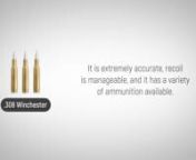 308 Winchester Ammo: The Forgotten Caliber History of 308 Win Ammo Explained from winchester model 70 308