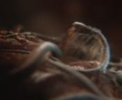 The Mill&#39;s VFX team led by Corey Brown and Jasper Kidd, helped create the disturbing visual metaphor of an organism, intended to depict the alarming consequences to the lungs, bloodstream and brain posed by vaping. nnCreative Director and 2D Lead artist Corey Brown comments,