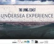 The Living Coast Undersea Experience is an interactive, educational, vr &amp; 360 film enabling users to explore the marine environment of the Beachy Head West Marine Conservation Zone (running between Brighton Marina &amp; Beachy Head, &amp; recently extended to Hastings) without getting wet!nnThis short film shows snippets from the pilot tour of the piece, into local communities across the MCZ.nnFurther information at this link - kp-projects.co.uk/the-living-coast-undersea-experience/nnTLC Und