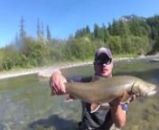 Fly fishing for bull trout and cutthroat trout in British Columbia. nnFilmed and Edited by Michael BurnsnMusic: Griz- Gettin&#39; live