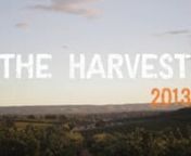 Here is a little video on what goes on during the Harvest at Oliver&#39;s Taranga Vineyards in Mclaren Vale. nnBig thank you to the Band &#39;Spine&#39; for allowing us to use their amazing song &#39;The Sixth of March&#39;. nnHere you get to see the whole process our wines go through from Picking, Crushing, Fermentation and Barreling. nnThis video was shortlisted in an international competition at jamessuckling.com for&#39;Best Video of the Harvest 2013&#39;. Finished up at #6 in the World which we thought was pretty co