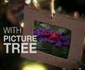 Download it here:nhttp://videohive.net/item/picture-tree/6286062?WT.ac=new_item&amp;WT.seg_1=new_item&amp;WT.z_author=terscion?ref=terscionnnPICTURE TREE is an After Effects project that lets you present your pictures and video with holiday cheer!nnFeaturesn- 1080pn- Requires no third party plugins.n- CS4/CS5/CS6 compatiblen- Use your own picturesn- Use your own videon- Add your own textn- 28 Unique picture comps to usen- Easy to follow instructions includednnMusic is by author simming.Track i