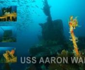 The third of a series documenting the WWII wrecks of Savo Sound - also called Ironbottom Sound, after the number of ships sunk during the fierce fighting of the Solomon Islands campaign.nnUSS Aaron Ward DD483 was one of 66 Gleaves-class destroyers.Built in New Jersey in 1941, she was sunk by aerial attack in 1943 off Nggela Sule in 70m (240 ft), her guns still pointing skywards from her final defensive action.nnFilmed using a Sony NEX-5n with 10-18mm lens in a Nauticam housing and twin Mangrov