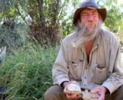 John Rawlins is fascinated by fossils. He has been collecting them in the Longreach region for years. nnIt&#39;s his latest passion. nnHis fossicking habit started with rocks and quickly developed into a love of