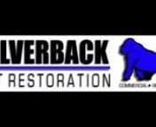 This is a showcase of some of Silverback Lot Restorations Work. The video covers the process of lot restoration, and provides personal guarantees by the company. nnWe hope you enjoy learning about our company and enjoy our video - Silverback Lot Restoration