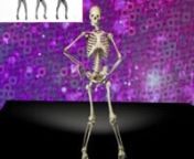 esqueleto humano from esqueleto humano