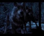 The Twilight Saga: Breaking Dawn, Part 1 wolf reel: highlights of some of the visual effects, particularly the work that went into the fur and wolves, that Image Engine provided for romantic fantasy, Breaking Dawn.