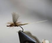 This video is about tying an Extended Body Mayfly.The video shows a Red Quill, but the tie can be used for any mayfly.