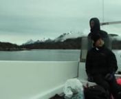 Se hvordan en sælfangst foregår i Grønland. Fangeren David har taget sin søn med på fangst i fjordene syd for Sisimiut.