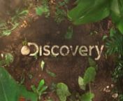 After winning the pitch we dived in this exciting project that was the Discovery Latam Refreshes image. nUnder the concept