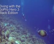 Join us for a dive with the GoPro Hero 3 Black Edition as we look at what white balance setting works best. Find out more at www.arcturusproductionsblog.wordpress.comnnMusic by Marie Hines, Perfect Kiss www.themusicbed.comnnSpecial thanks to Andy, Nancy, David, Dawn, Steve, Jean, Gary and Dianna.