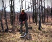 How to Safely Harvest Your Fuel Wood for Wilderness Camping from pick axe