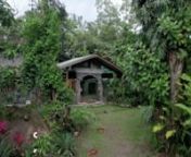 A video tour of Posada Natura Shamanic Ayahuasca Center in Londres Costa Rica. Posada Natura is available year round for individual and group retreats. For more information please feel free to contact us. Love and light to you!nnPosadaNatura.com/ Info@PosadaNatura.com